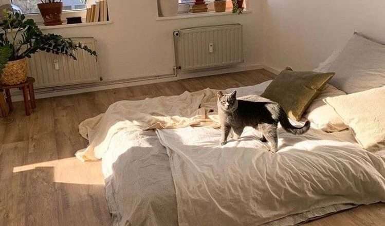 Дизайн полов для спальни